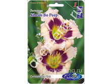 ������ �� ���.jpg