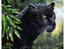 ������� 48*38 Ag485 - 1097 ���.