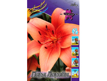 37,4���. ����� ���� ������(�������� ���� �� 5 ��., ����������� ����� 1��.).jpg