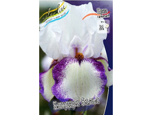 95,3���. ���� ���������� ������� �����(�������� ���� �� 2 ��., ����������� ����� 1��.).jpg