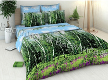 2366 �������.jpg