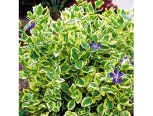 120���. �������� ������� ���������.jpg