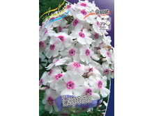 46,5���. ����� ������(�������� ���� �� 3 ��., ����������� ����� 1��.).jpg