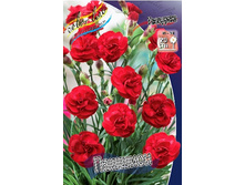 83,4���. �������� �������(�������� ���� �� 2 ��., ����������� ����� 1��.).jpg