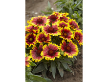 105,4���. ��������� ������� ���(�������� ���� �� 1 ��., ����������� ����� 1��.).jpg