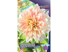 75,6���. �������� ��� ����(�������� ���� �� 1 ��., ����������� ����� 1��.).jpg