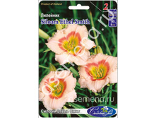 ������ ����� ����.jpg