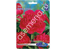 ������ �����.jpg