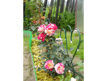 Maurice Utrillo (10).JPG