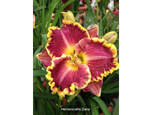 241,4���. �������� �����(�������� ���� �� 1 ��., ����������� ����� 1��.)���16.jpg