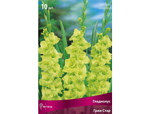 ��������� ���� ����.jpg