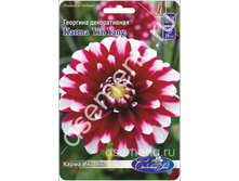 ����� ��� ���.jpg