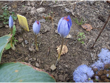 ������������� �� �������