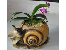 DSC 0150.JPG