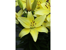 24,44���. ����� ���� ����(�������� ���� �� 5 ��., ����������� ����� 1��.).jpg