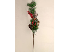 736/XH121592 �����