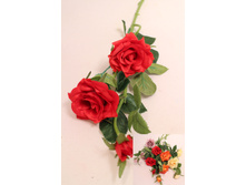 401/2452� ���� ������ 25%