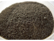 ����� ������ �������������