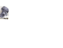 ����������15.png