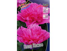 283,7���. ���� ���� �����(�������� ���� �� 1 ��., ����������� ����� 1��.).jpg