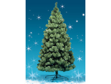 ��� ������������� ��������� �������, ����-����.jpg