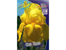 95,3���. ���� ���������� ��� ����(�������� ���� �� 2 ��., ����������� ����� 1��.).jpg