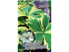 130,3���. ��������� ����������� ����������(�������� ���� �� 1 ��., ����������� ����� 1��.).jpg