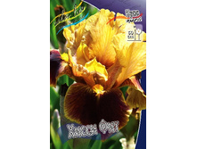 95,3���. ���� ���������� ����� ���(�������� ���� �� 2 ��., ����������� ����� 1��.).jpg