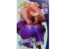 95,3���. ���� ���������� ���� �� �������(�������� ���� �� 2 ��., ����������� ����� 1��.).jpg