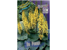 93,8���. ��������� �� �����(�������� ���� �� 1 ��., ����������� ����� 1��.).jpg