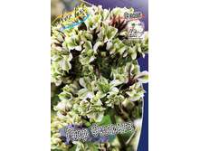 155,1���. ����� ��� �������(�������� ���� �� 1 ��., ����������� ����� 1��.).jpg