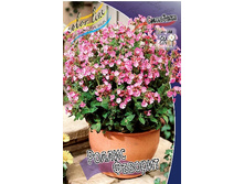 155,1���. ������� ������ �������(�������� ���� �� 1 ��., ����������� ����� 1��.).jpg