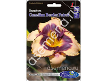 �������� ������ ������.jpg