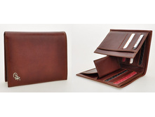 4160 V-TAN 1105���.jpg