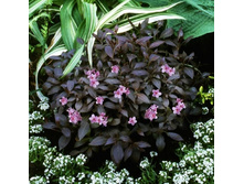 148���. ������� ����� �������.jpg