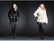 ����������. 40-54