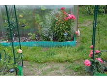 ������� (27).JPG