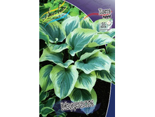 163,4���. ����� ��������(�������� ���� �� 1 ��., ����������� ����� 1��.).jpg