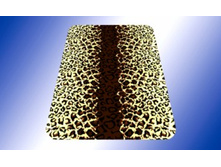 ������ ��������, 8049.jpg