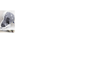 ����������6.png