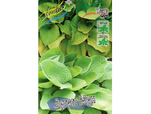 61,8���. ����� ������ ���(�������� ���� �� 2 ��., ����������� ����� 1��.).jpg