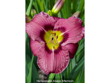 105,4���. �������� ������ �������(�������� ���� �� 1 ��., ����������� ����� 1��.).jpg