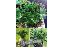 196,6���. ����� ������ �����(�������� ���� �� 1 ��., ����������� ����� 1��.).jpg