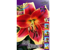 29,67���. ����� ��� ����(�������� ���� �� 7 ��., ����������� ����� 1��.).jpg