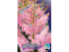 95,4���. �������� ��� ����(�������� ���� �� 1 ��., ����������� ����� 1��.).jpg