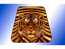 ����� �����, 6047.jpg