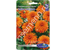 ������� ��� ����.jpg