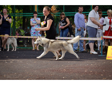 ����� ���� ��� �������