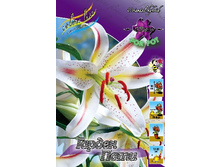 37,4���. ����� ������ ����(�������� ���� �� 5 ��., ����������� ����� 1��.).jpg