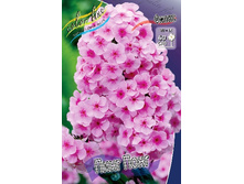 58,13���. ����� ���� ����(�������� ���� �� 3 ��., ����������� ����� 1��.).jpg